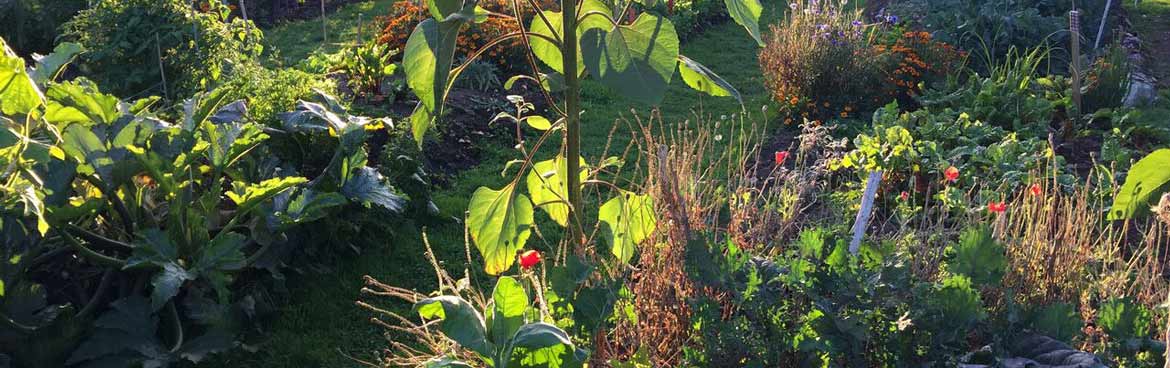 garden-light-slider