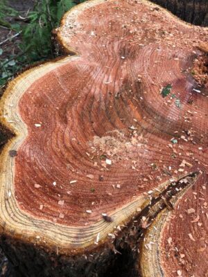 Events 2026 Events 2026