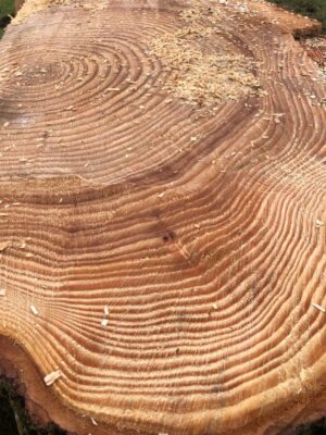 Events 2026 Events 2026