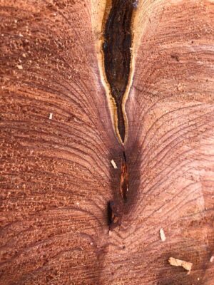 Events 2026 Events 2026