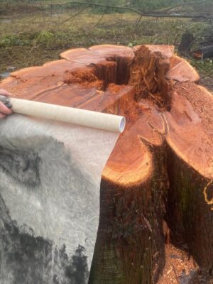 Events 2026 Events 2026