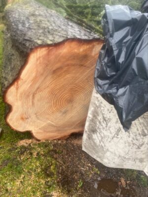 Events 2026 Events 2026